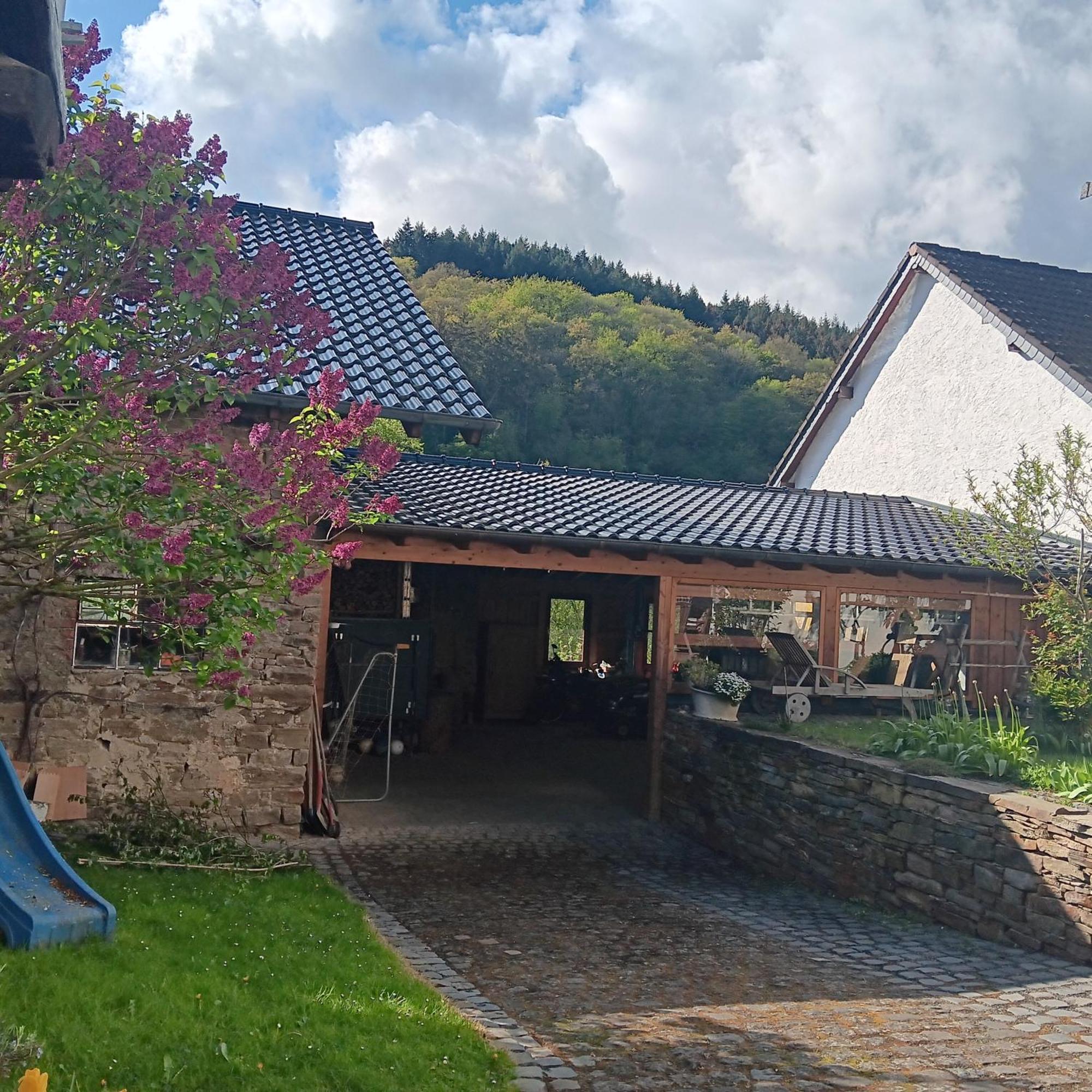 Eifler Brunnenhaus Villa Dumpelfeld Ngoại thất bức ảnh