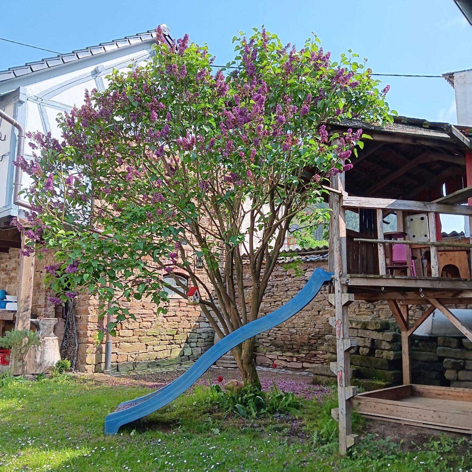 Eifler Brunnenhaus Villa Dumpelfeld Ngoại thất bức ảnh
